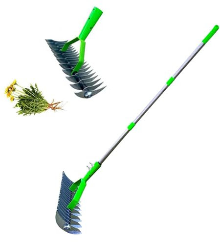 Aireador escarificador de césped con mango, aireador de césped, herramienta de aireación de pinchos, aireación manual eficaz del suelo y escarificación para el cuidado y mantenimiento del césped,