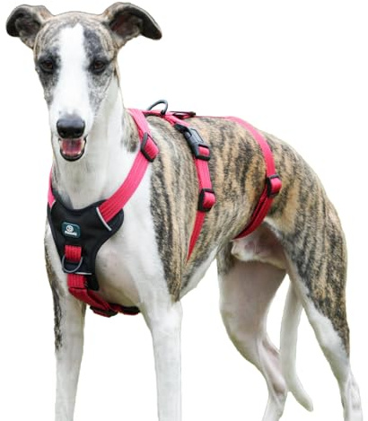 Paworld Arnes Antiescape Perro, Arnes Antitirones Perro, Arnes Perro Pequeño, Ajustable, Duradero, Transpirable, Sin Estrangulamiento, Entrenamiento y Paseo al Aire Libre (Rojo Rosa, S)