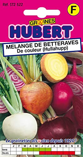 Graines de Betterave en Mélange de Couleur Hullahupp - 5 grammes