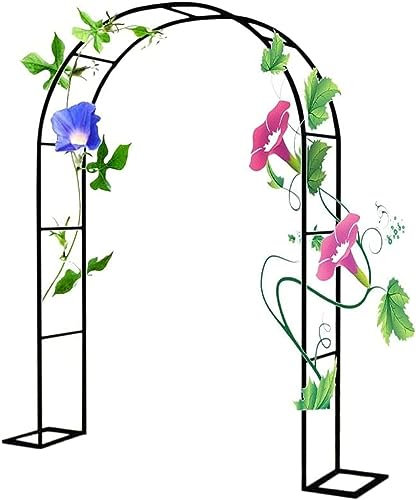 Metal Garden Arch 2.4M Heavy Duty Garden Arbour Steel Frame Large Strong Weather Resistant Climbing Plants Indoor Outdoor Support Arches for Roses, Climbers, Fruit,White,W1.2M*H2.2M, Black