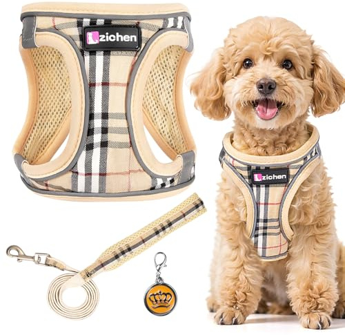 Harnais pour petit chien avec laisse, harnais réglable Step-In pour chiots, réfléchissant, respirant, harnais pour chiots pour les promenades, l'entraînement, les activités de plein air