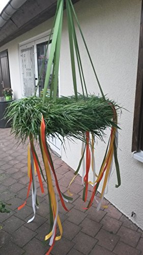 Flora Trans - Richtkranz kaufen -Das Eigene Heim - Richtkranz 50cm Durchmesser -