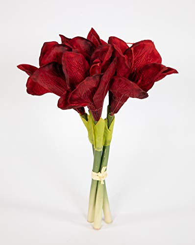 Seidenblumen Roß Amaryllisbund 35cm Bordeaux GA Kunstblumen Kunstpflanzen künstliche Amaryllis Blumen Ritterstern
