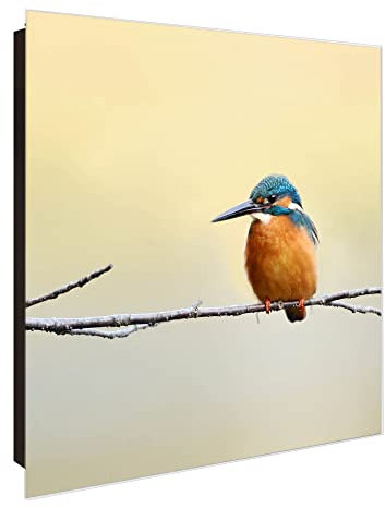 banjado Großer Schlüsselkasten Glas - Schlüsselbox 30x30cm mit 50 Haken - Schlüsselkasten modern für Schlüsselaufbewahrung mit beschreibbarer, magnetischer Glastür - Motiv Pause