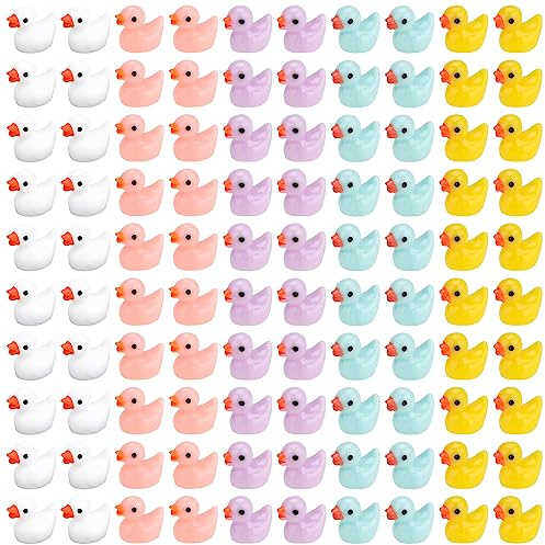 Fizdoqg Mini Harz Enten 100 Stück Miniatur Enten Mini Enten Figuren Mini Resin Ducks Tiny Resin Duck zum Basteln für DIY Potting Micro Landschaft Dekorationen Lieferungen, 5 Farben