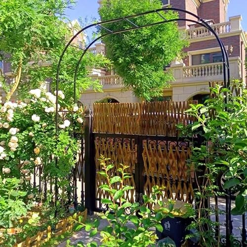 Arche de jardin, tonnelle en fer forgé pour roses grimpantes, arche de mariage en plein air, 240 cm x 250 cm, noir ou blanc, décoration de jardin durable, parfaite pour les événements, la cour et le