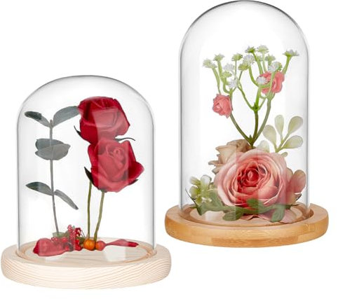 NBEADS 2 Pcs 2 Styles Glass Display Cloche Dome, Clear Glass Dome Large Glass Bell Jar with Wood Base for Plants Collectibles Home Decoration, Arch