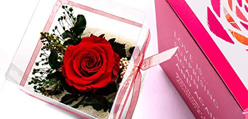 Rosen-Te-Amo, Geschenke für sie || Muttertag konservierte ewige rote Rose & Halskette | duftend | handgefertigt mit echten Foliage in feiner Geschenkbox| Infinity Rosen: Deko & Geschenke für Frauen