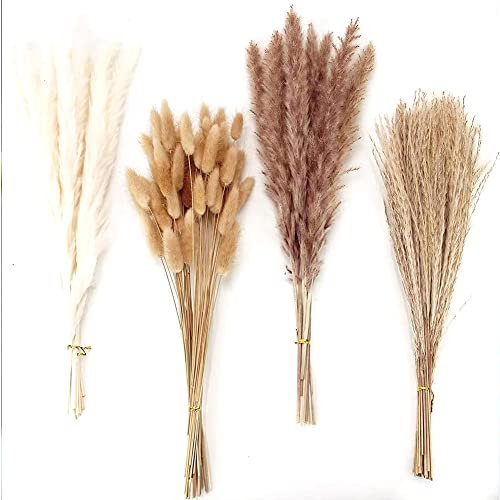 Pampasgras Getrocknet,100 Stück Pampasgras Trockenblumen Deko,Natürliche Braun Weiß Pampasgras Flauschige Wedel,Lagurus Schilfblume Getrocknete Blumen Strauß für Heim Decor Blumen Arrangements