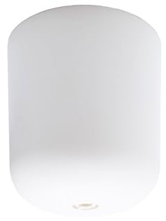 Moderner Lampenbaldachin ø 65mm H. 69mm aus mattem Kunststoff - Praktischer Baldachin für Ihre Lampe - einfache Montage - Ideal für DIY-Projekte (Weiß)