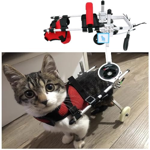 Elitix Hunderollstuhl Kleiner Katzenrollstuhl für Die Hinterbeine, Verstellbare Katzenlaufräder für Hauskatzen, Hinterbeinstütze für Behinderte Haustiere von 1 Bis 18 Pfund (Size : Size L)