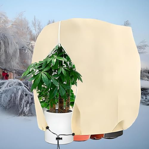 ZOZIJIU Pflanzenschutz Winter - Winterschutz füR Pflanzen 80x100cm-2P Frostschutz Pflanzen Haube mit ReißVerschluss &Zugband füR KüBelpflanzen Palmen Beige 80g/M²