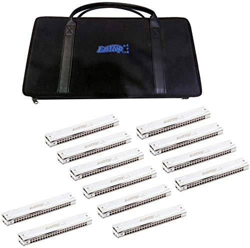 East Top Mundharmonika 12er Set, 24-Loch Professionelle Tremolo Mundharmonikas T2406S Mundharmonika Für Erwachsene, professionelle Bandspieler und Studenten, als Geschenk
