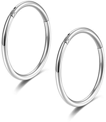 Lantine 2 Stück 316L Chirurgenstahl Scharnier Segmentring Nasenpiercing Ringe & Septum Clicker – 20G, 18G, 16G, 6mm-16mm, Für Conch, Daith, Helix, Tragus, Rook, Snug Piercings