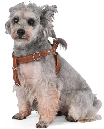Hundsele läder mjuk sele justerbara bröstsele norska husdjur lädersele mjuk för små medelstora stora hundar (M, brun)