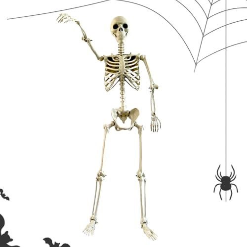 Skeleton Decoration,Realistic Posable Skeleton with Movable Joints | Weather-Resistant Outdoor Decorations, Spooky Photo Props Party Supplies for Courtyard Porch Lawn