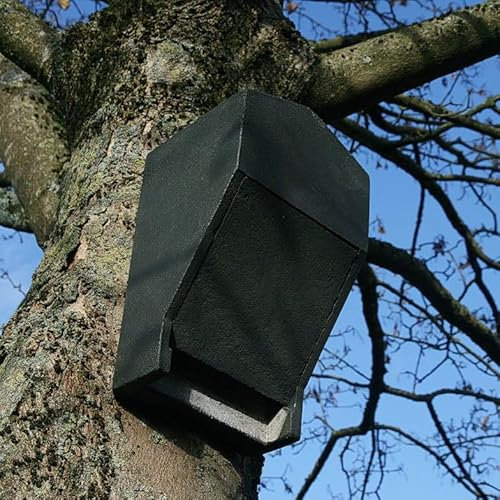 HASSELFELDT Fledermaus Großraumhöhle aus Holzbeton | Wetterfest | Fledermausquartier | Fledermauswochenstube | Großraumhöhle | Sommerquartier| Fledermauskasten| Fledermaus-Haus | Selbstreinigend