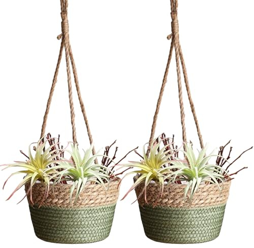 BEIJIALY 2er-Pack Hängender Pflanzkorb aus Seegras, Gewebter Rattan-Pflanzenaufhänger, Hängender Rattan-Pflanzgefäß, Makramee-Pflanzenaufhänger, Blumentopfhalter für Garten, Draußen,(Grün)
