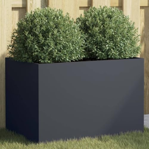 CKioict Porta piante da interno Vasi alti da esterno Fioriere da esterno grandi Fioriera Antracite 62x30x29 cm in Acciaio Per Piante,Fiori,Frutta e Verdura