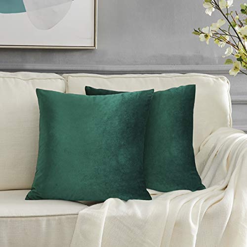 GIGIZAZA Cojín Terciopelo Funda de Cojines 40x40 cm Verde Decoración Almohada Caso de la Cubierta para Sofá Cama 2 Paquetes