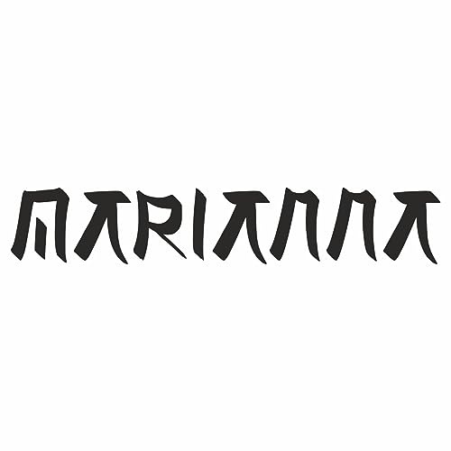 AMA SHOP Adesivo Prespaziato scritta personalizzabile con tuo nome stile giapponese |Sticker per Casco,Moto, Camper,Barca | autoTuning