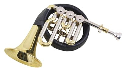 Waldhorn Anfängerinstrument B Horn Geeignet Für Professionelle Aufführungen Oder Für Üben(2)