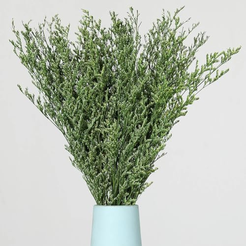 Dried Flower Bouquet, 17'' Dry Green Caspia Flowers Bundle for Vase Decor