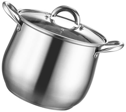 TOYANDONA Olla de Acero Inoxidable con Tapa 24 Cm, Olla Grande de Cocina con Fondo Grueso, Doble Asa Resistente y Alta Capacidad para Guisos y Sopas Caseras