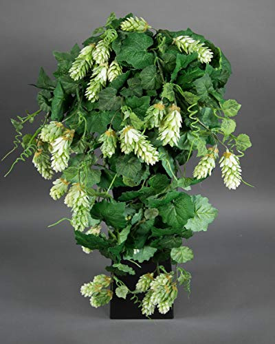 Seidenblumen Roß Hopfenranke 65cm PM künstliche Pflanzen Ranken Kunstrpflanzen künstlicher Hopfen Hopfenhänger