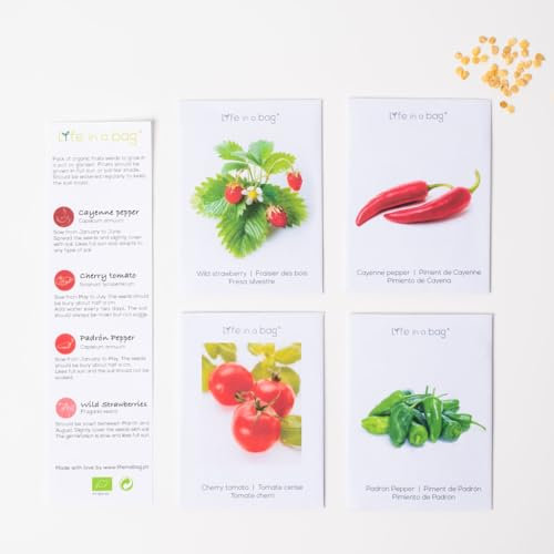 Set di 4 varietà di semi di frutta. Peperone, Pomodoro Ciliegia, Peperone Padron, Fragole. Semi ecologici di frutta