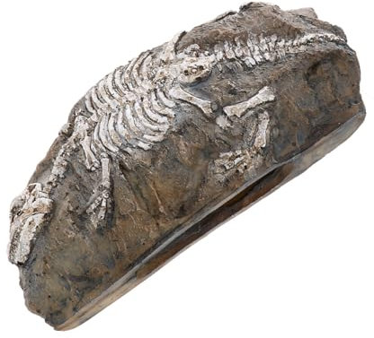 TOPBATHY 1pezzi Decorazione in Resina Per Vasca Ornamentale Di Preistorica Unico Paesaggi Creativi Artigianato Di Nascondiglio Sicuro Per Pesci