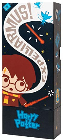 Grupo Erik Stifthalter und Federmäppchen Harry Potter - Etui mit Handyhalter- Stift Etui - Federmäppchen Jungen und Mädchen MARE0094