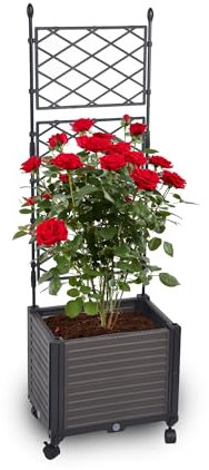 Gartenwelt Riegelsberger Pflanzkasten mit Spalier auf Rädern Größe 41x30xH125 cm Rankgitter für Kletterpflanzen innen und außen