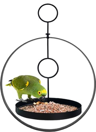 Mangiatoia per uccelli – Design ad anello resistente alle intemperie in metallo con gancio, 30 x 42 cm, disco di mangime per esterni, 20 cm, per giardino, terrazza, casa, voliera, osservazione De