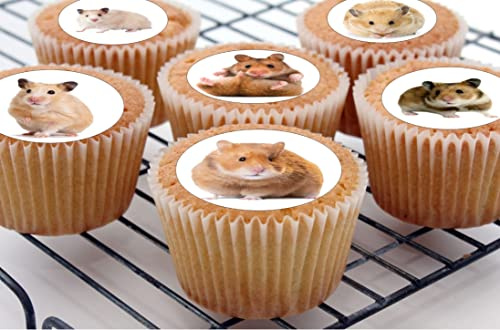 24 edible Hamster hamsters kids childrens party decorations style cake decorations Iced Icing CupCake Toppers, 4.2cm