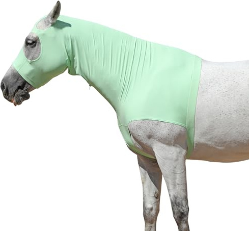 Capuche extensible pour cheval avec fermeture éclair, couverture intégrale du visage et du cou pour une protection contre les démangeaisons – Protège-crinière et bouclier anti-mouches Vert pâle Taille