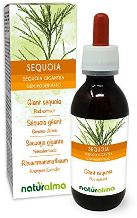 Séquoia géant (Sequoia gigantea ou Sequoiadendron giganteum) Gemmo-dérivé sans alcool à base de bourgeons frais Naturalma - Extrait liquide gouttes 120 ml - Complément alimentaire - Végétalien - végan