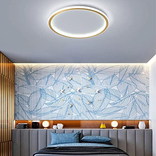 ZJHAHJY Runde LED-Deckenleuchte, nordische Moderne ultradünne Kreis-Deckenlampe, Oberflächenmontage, Metallleuchte für Wohnzimmer, Schlafzimmerlampe, Gold + 3-Farben-Licht, 60 cm, 72 W