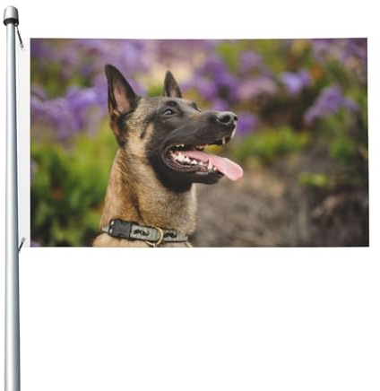 Malinois belges - Chiens de compagnie - Drapeaux Malinois belges 152 x 91 cm avec œillets - Polyester personnalisé