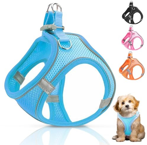 Ledeak Hundegeschirr Kleine Hunde, Reflektierendes Anti Zug Hundegeschirr, Verstellbares Geschirr Hund Katze, Atmungsakti Brustgeschirre für Hunde, Sicherheitsgeschirr Hund (Himmelblau, XXS)