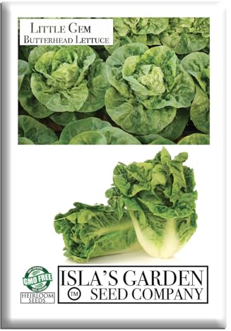 Little Gem Butterhead Lettuce Seeds (Lactuca sativa) – 1,000+ Non-GMO Heirloom Seeds by Isla’s Garden Seeds, Compact & Crisp Heads, Sweet & Tender Leaves,Fast-Growing & Perfect for Salads & Sandwiches