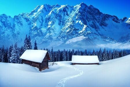adrium Acryl-Bild 80 x 50 cm: Holzhaus im Winterwald (36092909)