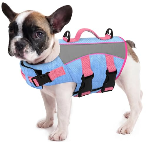 Queenmore Dog Life Jacket Medium Reflective Dachshund Life Jacket Lightweight & Adjustable Dog Float Jacket With Rescue Handle for French Bulldog,Dachshund,Pug (Light Blue, M)