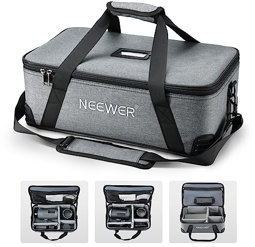 NEEWER Borsa Trasporto con Imbottitura Schiuma Mobile per Studio Light Q300 Vision 4 ML300 CB60B RGB CB60 MS60B MS60C MS150B, Borsa da Viaggio in Tessuto Oxford Resistente con Tracolla e Manico, PB5