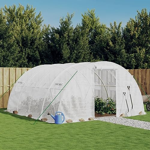 Protection des plantes d'hiver - Serre avec cadre en acier - Blanc - 16 m² - 4 x 4 x 2 m - Serre d'hiver pour culture de tomates