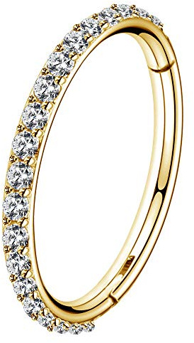 OUFER 18G 20G Nose Ring Hoops Hinged Seamless Segment Helix Piercings Nostril Clicker 316L Stainless Steel CZ Line Daith Tragus Cartilage Earring Jewellery