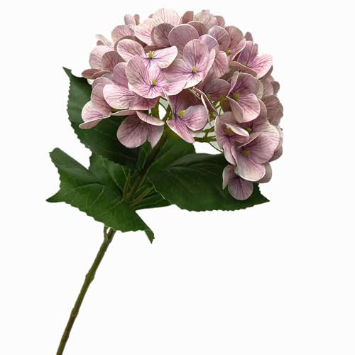 forestmistry 5pcs 3D Print Lifelike Hortensia Branch Realistic Artificial Big Latex Hydrangea Flower (pale pink)