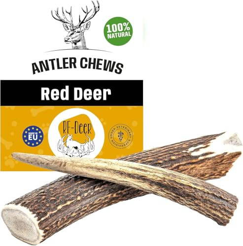 RF-Deer Kronhjortshorn för hundar, naturligt tuggsnack, M Hard, 1 st