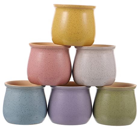 TOYANDONA 6 Piezas Maceta De Cerámica para Suculentas Maceta De Arcilla para Cactus Contenedor De Jardinería para Plantas Cazuela De Barro para Plantar
