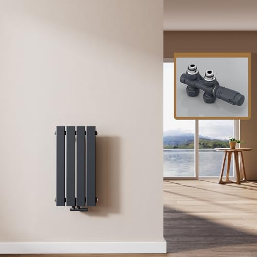 EMKE Design Heizkörper Klein, 600x304 mm Vertikal Flachheizkörper mit Mittelanschluss, Einlagig Anthrazit Paneelheizkörper Wandheizkörper für Bad, Schlafzimmer & Wohnzimmer, 210W